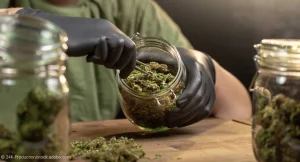Is it safe for a tourist to buy weed online in stuttgart?