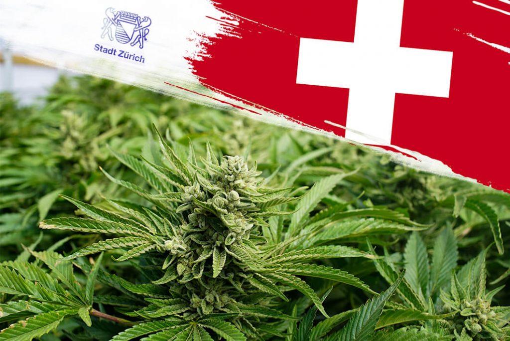 Ist cbd legal in der schweiz