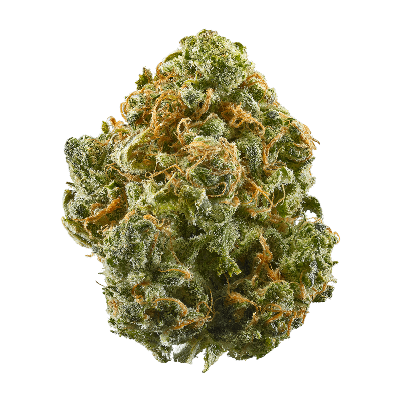 Buy zaza weed strain in Germany,