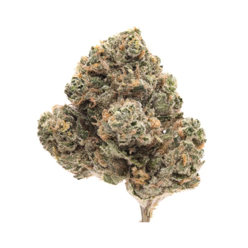 Grapefruit Durban Strain,
