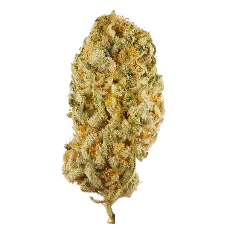 Jack herer strain for sale in Germany,