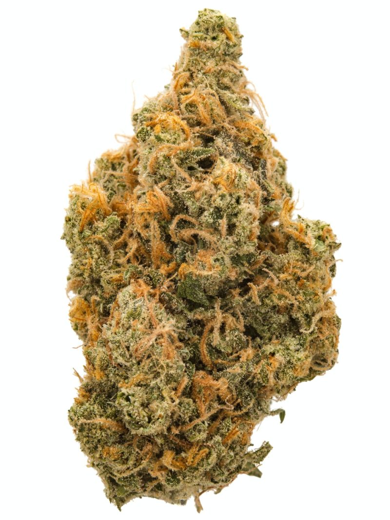 Northern lights strain for sale,