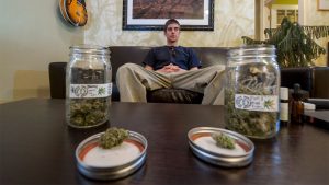 Where can i legally buy weed in romania?