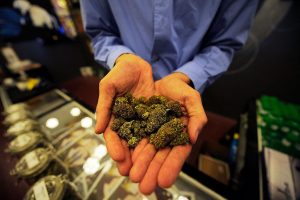 Buying weed in germany