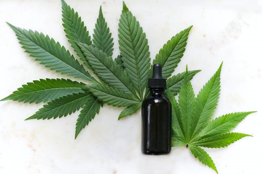 Exploring the legal landscape of cannabis in delaware