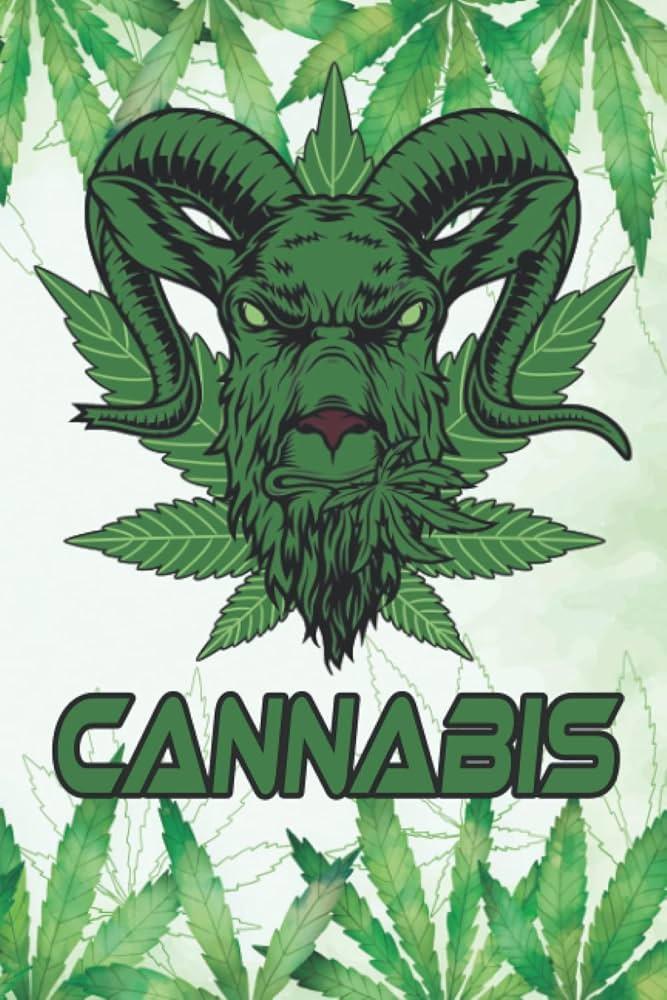Navigating the cannabis culture: etiquette and tips