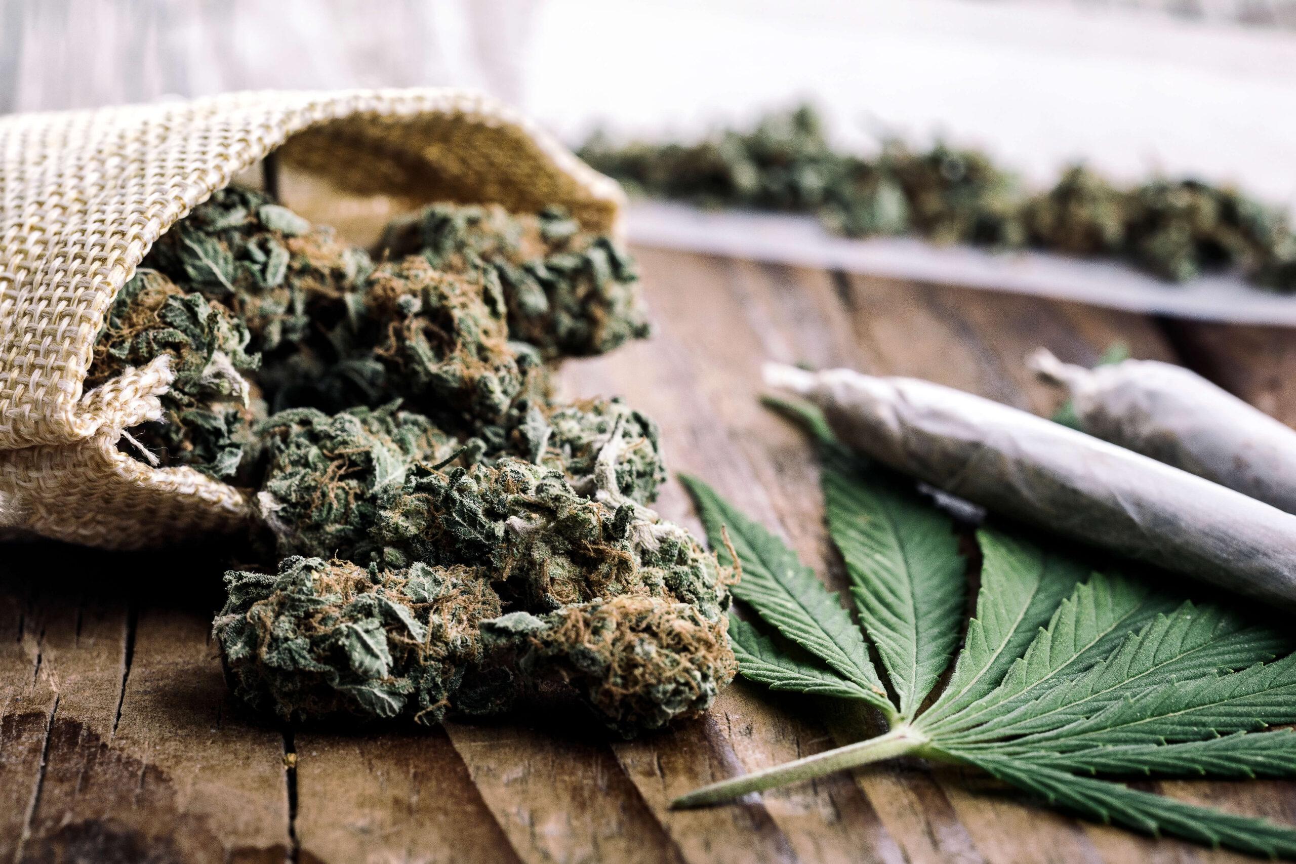 Where to buy weed in delaware